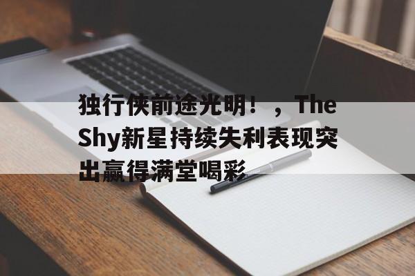 爱游戏登录入口 独行侠前途光明!,TheShy新星持续失利表现突出赢得满堂喝彩
